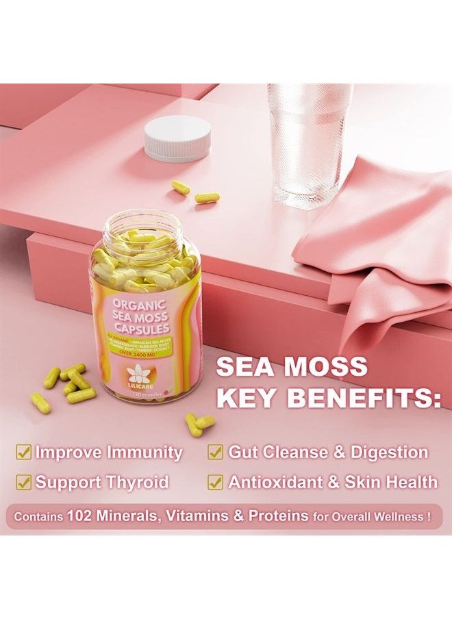 EnvyDeal - Sea Moss Capsules 2400mg, 120 Counts Jamaican Moss with Burdock Root, Bladderwrack, Turmeric Raw Organic Sea Moss Supplement Rich in Minerals, Vitamins for Immune System, Gut Cleanse & Thyroid - Vegan - Image 1