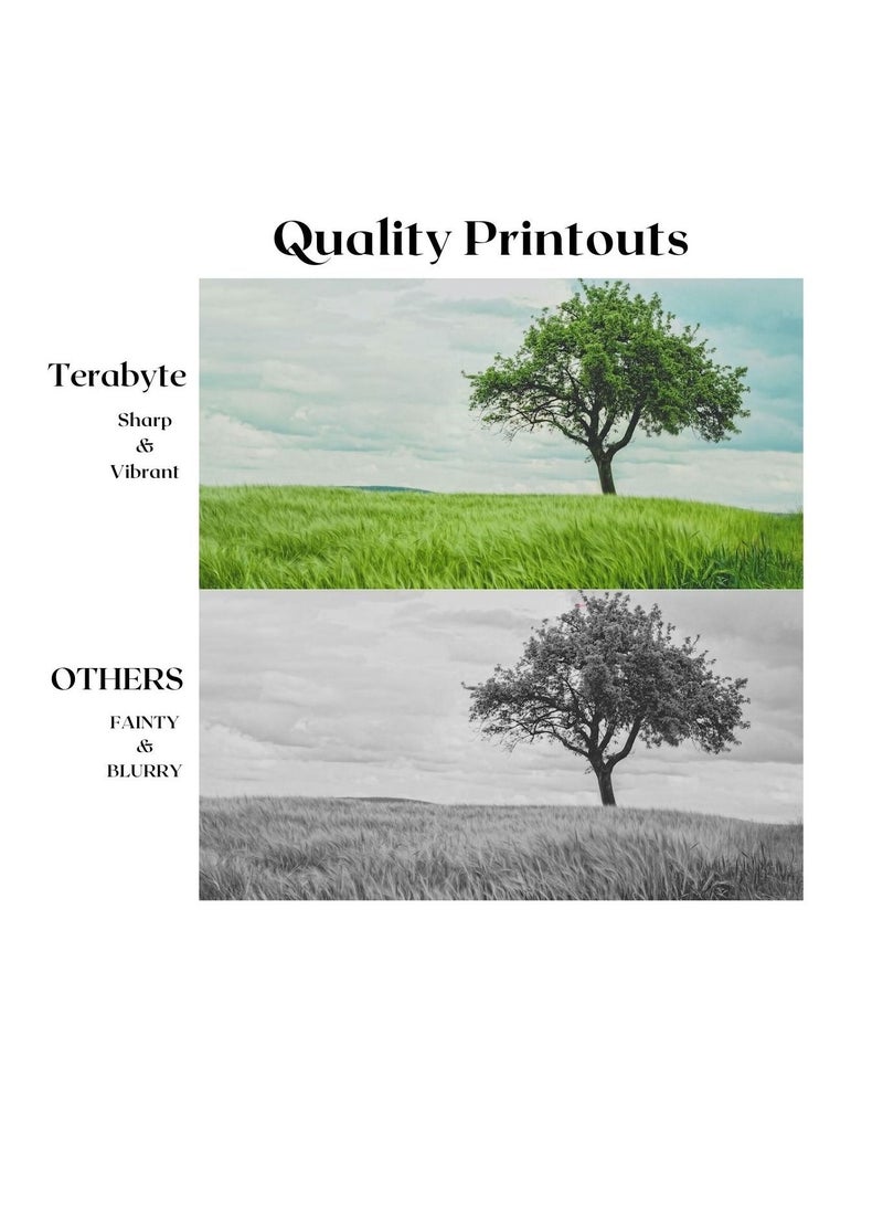 Terabyte TN114 COMPATIBLE TONER TERABYTE - Image 2