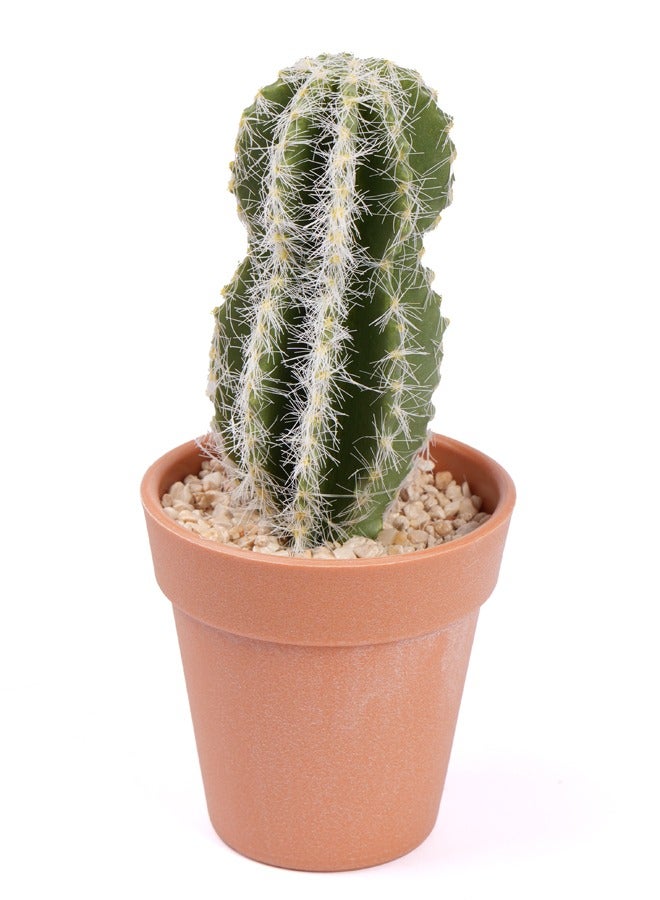 Buy Single Stem Cactus in a Brown Pot- Artificial Online | 15 Minutes ...
