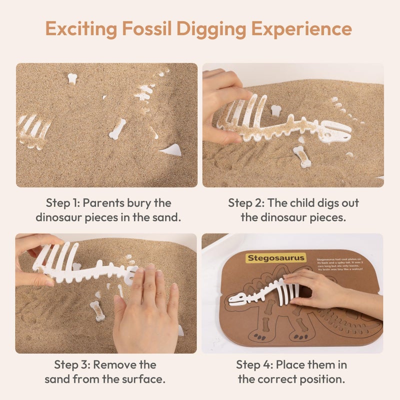 Woodtoe 2 PCS Dinosaur Sensory Table Inserts, Double-Sided Dinosaurs Puzzle for Flisat Trofast, 3D Wooden Dinosaur Puzzle, Sensory Sand & Water Table Accessories, Science Toys STEM Kits for Kid Age 3+ - Image 5