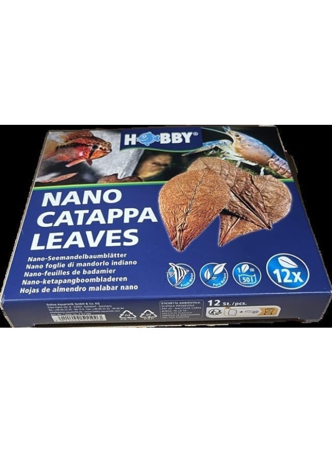Hobby Hobby 51100 Nano Catappa Leaves, Pack of 12  - Image 5