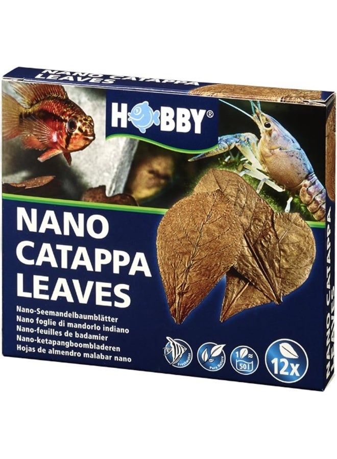 Hobby Hobby 51100 Nano Catappa Leaves, Pack of 12  - Image 2