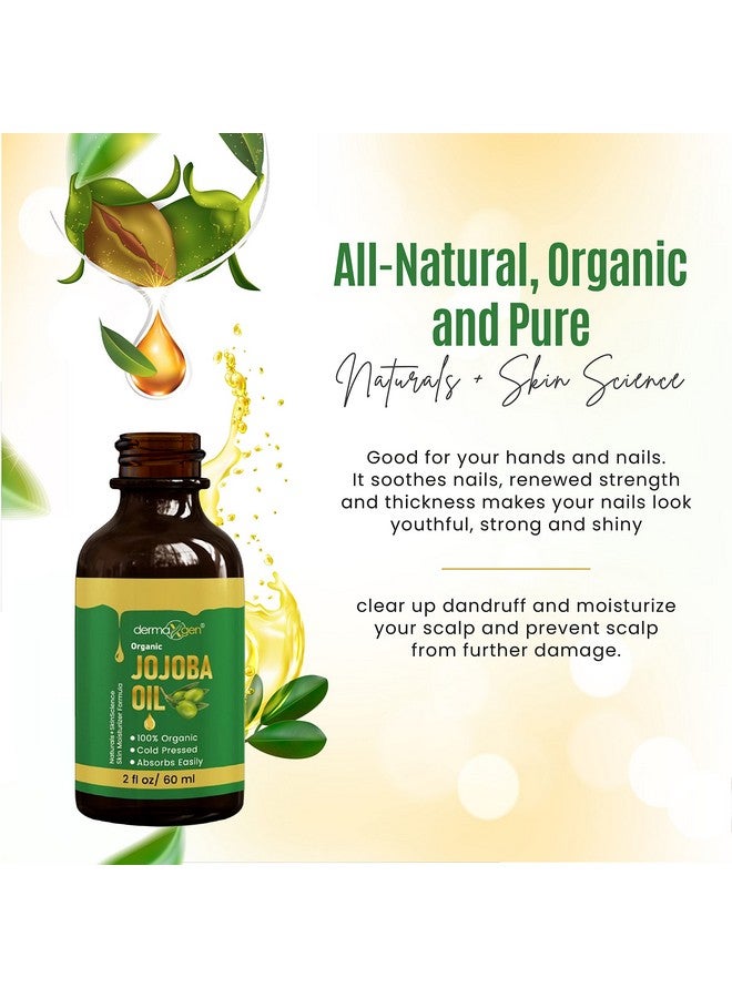 DERMAXGEN Jojoba Oil -100% Organic & Cold Pressed Oil - Anti-Aging Moisturizing Treatment for Face, Hair, Skin & Nails, Acne Scars, Anti-Wrinkle. (2 FL OZ) - Image 2