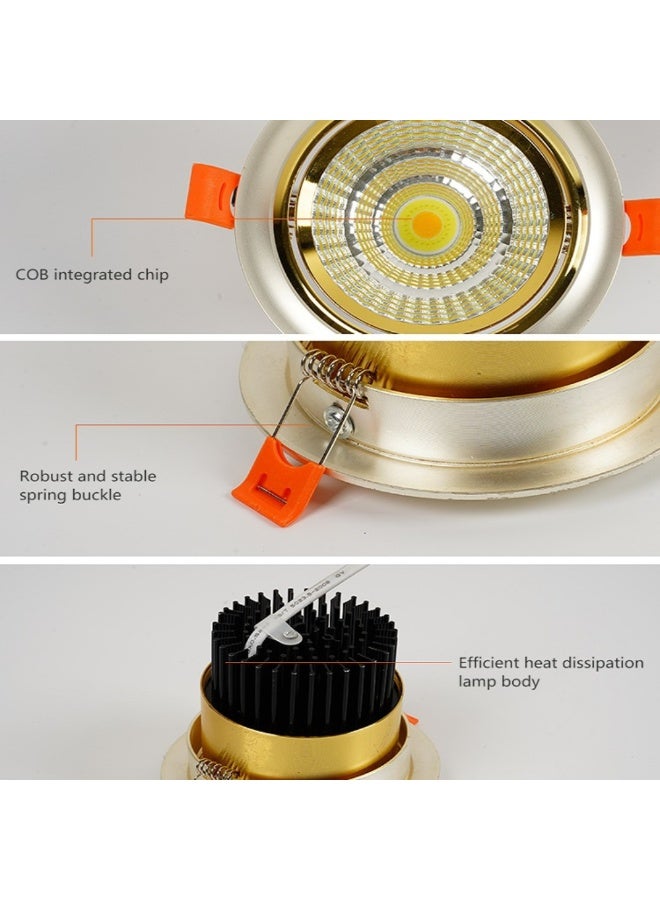م.م.ذ  دحاولا صخشلا ةكرش اهمزاولو ةرانلا  تادعم ةراجتل زنيل دنآ وتلب سبوت لايت سقفي LED COB من PLATO بقدرة 5 واط | متحرك | هيكل فضي وذهبي | إضاءة دافئة 3000 كلفن - Image 3