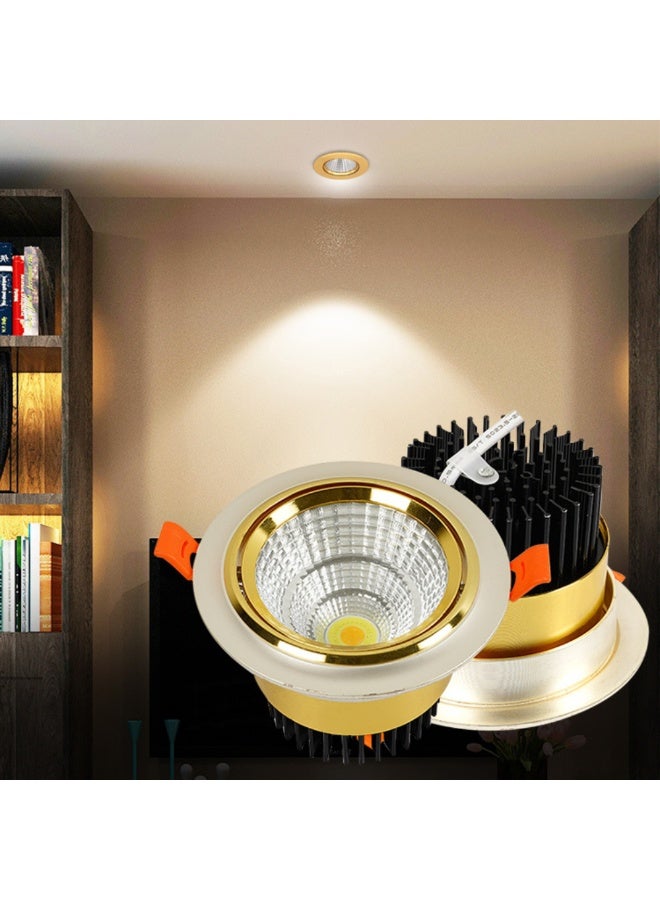 م.م.ذ  دحاولا صخشلا ةكرش اهمزاولو ةرانلا  تادعم ةراجتل زنيل دنآ وتلب سبوت لايت سقفي LED COB من PLATO بقدرة 5 واط | متحرك | هيكل فضي وذهبي | إضاءة دافئة 3000 كلفن - Image 1