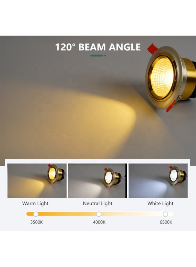 م.م.ذ  دحاولا صخشلا ةكرش اهمزاولو ةرانلا  تادعم ةراجتل زنيل دنآ وتلب سبوت لايت سقفي LED COB من PLATO بقدرة 5 واط | متحرك | هيكل فضي وذهبي | إضاءة دافئة 3000 كلفن - Image 2