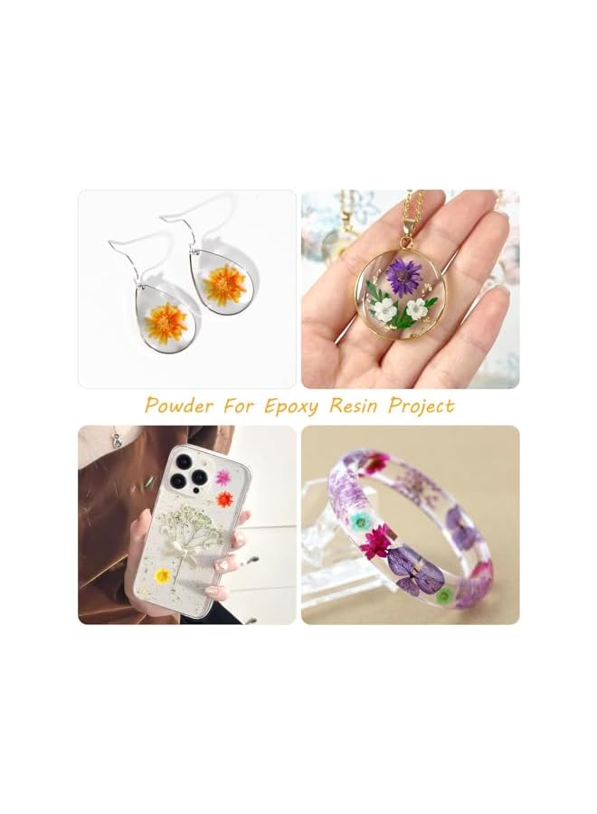 erorex 200 PCS Small Dried Flowers for Crafts Resin, Colorful Dried Flowers for Nails, Natural Real Tiny Dried Pressed Flowers for Jewelry Earrings Epoxy Molds, DIY Candles Making, Soap Making  - Image 2