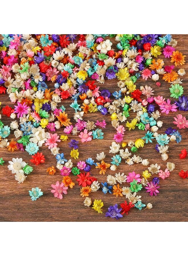 erorex 200 PCS Small Dried Flowers for Crafts Resin, Colorful Dried Flowers for Nails, Natural Real Tiny Dried Pressed Flowers for Jewelry Earrings Epoxy Molds, DIY Candles Making, Soap Making  - Image 1