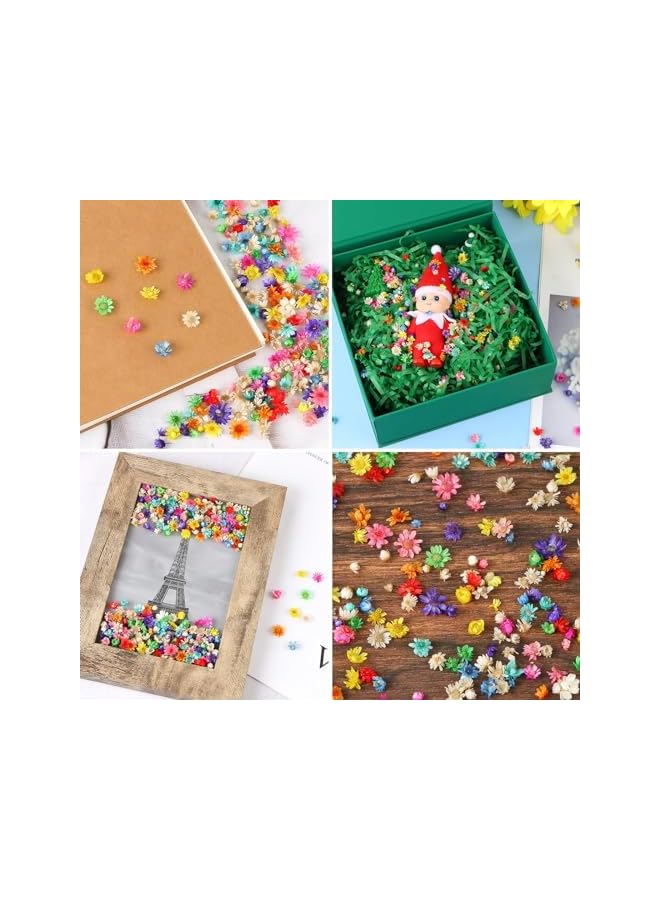 erorex 200 PCS Small Dried Flowers for Crafts Resin, Colorful Dried Flowers for Nails, Natural Real Tiny Dried Pressed Flowers for Jewelry Earrings Epoxy Molds, DIY Candles Making, Soap Making  - Image 4