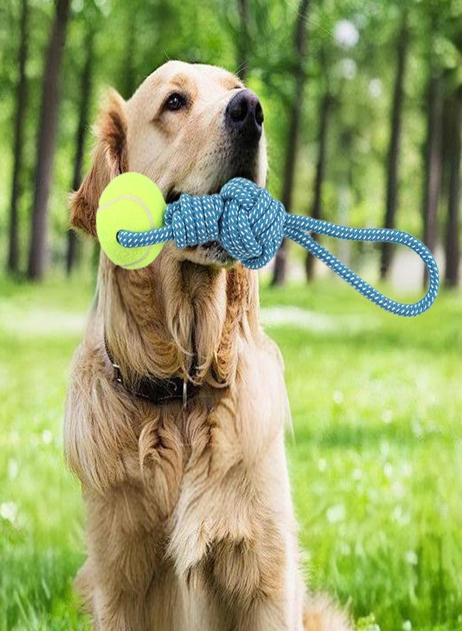 Erhalithegro Dog Rope Toy for Medium and Small Dogs Interactive Puppy Toys Tug of War Rope Tether Tug Outdoor Dog Toy 1 Knot Puppy Teething Chew Cotton with Tennis Ball - Image 3