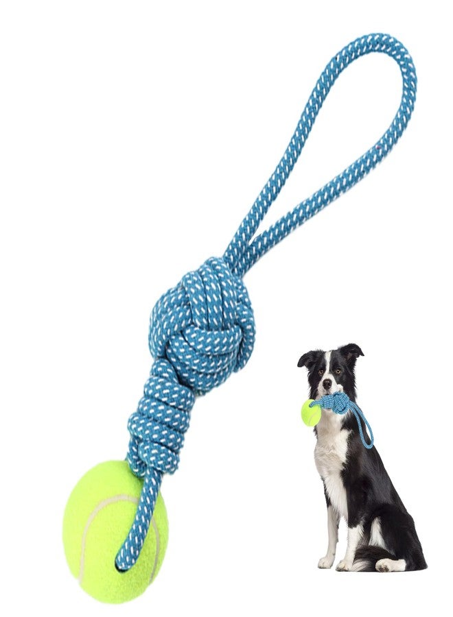Erhalithegro Dog Rope Toy for Medium and Small Dogs Interactive Puppy Toys Tug of War Rope Tether Tug Outdoor Dog Toy 1 Knot Puppy Teething Chew Cotton with Tennis Ball - Image 1
