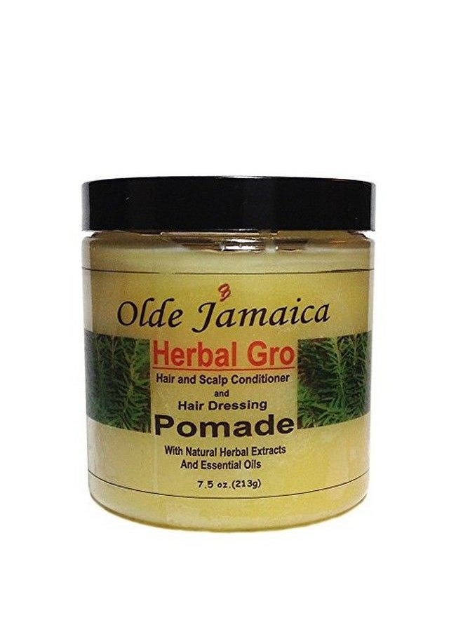 Olde Jamaica - Herbal Gro Hair And Scalp Conditioner And Hair Dressing Pomade 7.5 Oz. - Image 1