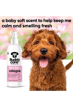 Buddy Dog Cologne Baby Fresh 200ml Delicate and Powdery Scented Dog Cologne Refreshes Between Dog Washes With Aloe Vera and Pro Vitamin B5  - Image 3