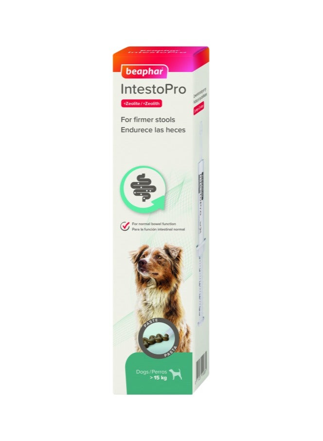 beaphar IntestoPro Anti Diarrhea Paste Syringe Large Dog 2 x 20 ml