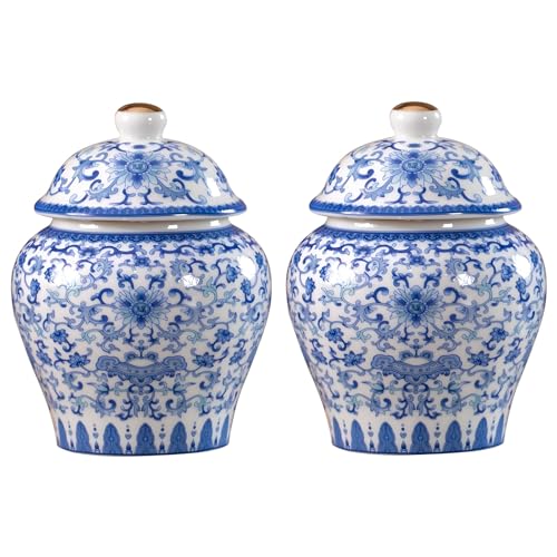 ZPGXLRZ 2 Pcs Chinoiserie Blue and White Porcelain Mini Ceramic Ginger Jars with Lid Ancient Chinese,Oriental Style,Decorative and Storage Jars - Image 1