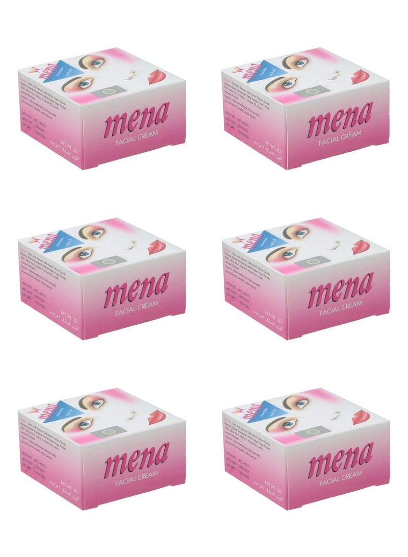 مينا 6 قطع من كريم للوجه 3 جرام - Image 1