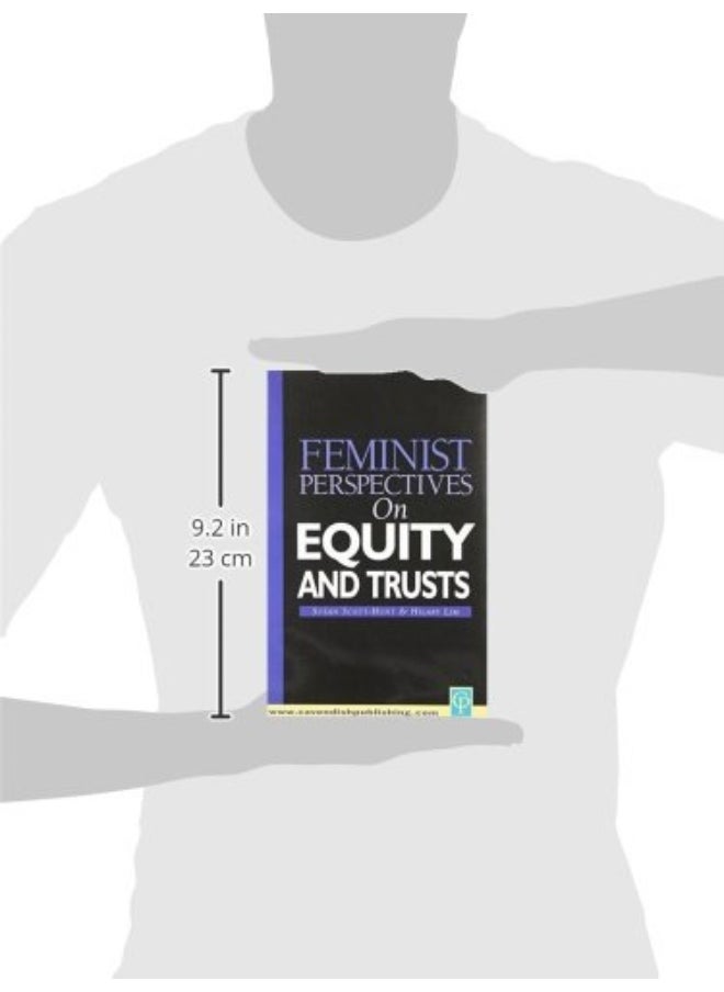 Feminist Perspectives on Equity and Trusts  - Image 2