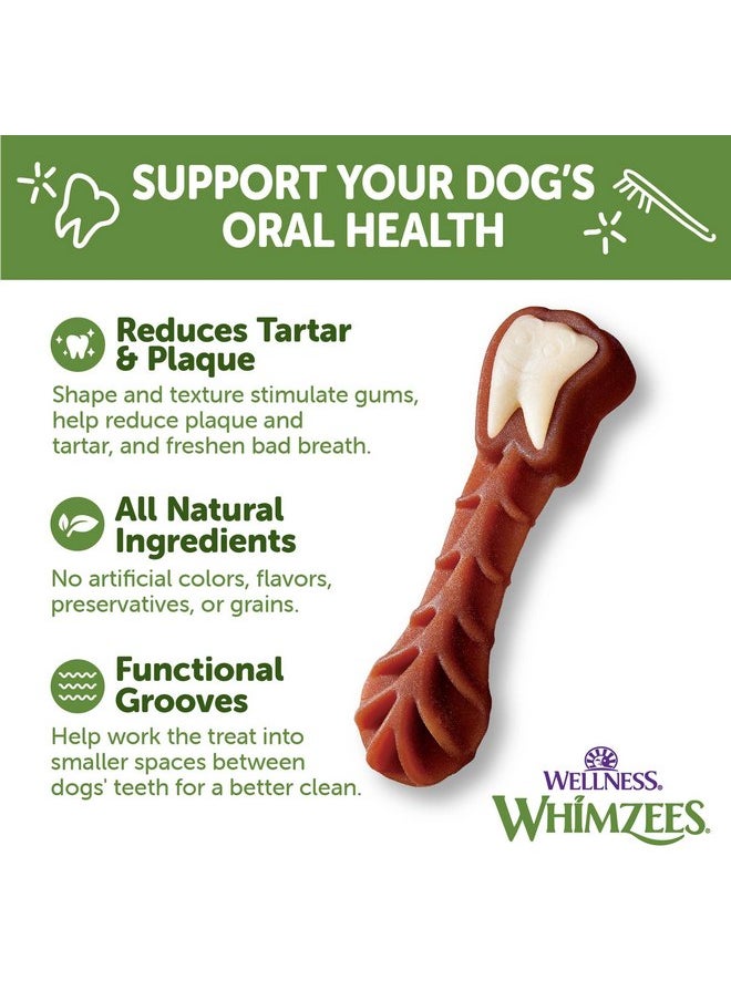 ويمزيس - WHIMZEES by Wellness Brushzees مضغ الأسنان الطبيعي للكلاب، مكافآت تدوم طويلاً، خالية من الحبوب، منعشة للنفس، سلالات كبيرة، 6 قطع - Image 1
