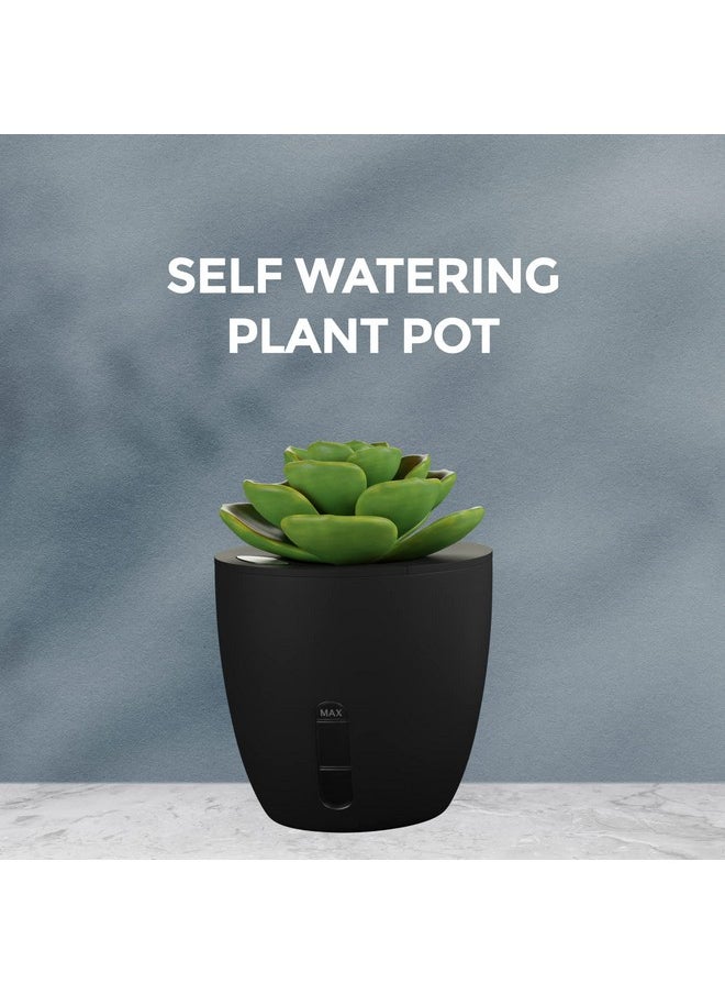 EO Pen Stand For Study Table With Self Watering Plant Pot & Glasses Holder Smartphone Holder Desk Station Table Organizer & Pencil Holder For Offices Home Kids Study Room (Black, Stationery)  - Image 4