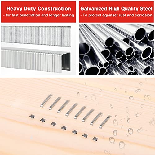 SHALL Heavy Duty T50 Staples and 18GA Brad Nails Combo Kit, 8000-Count, Four Sizes of T50 Staples for Staple Gun Including 1/4, 5/16, 3/8, 1/2 Inch and Two Sizes of Brad Nails Including 1/2, 9/16 Inch - Image 3
