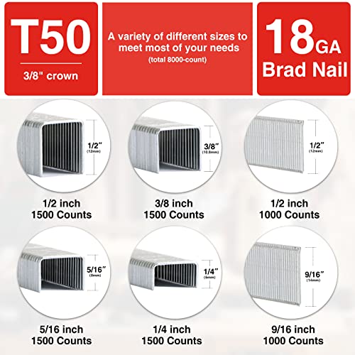 SHALL Heavy Duty T50 Staples and 18GA Brad Nails Combo Kit, 8000-Count, Four Sizes of T50 Staples for Staple Gun Including 1/4, 5/16, 3/8, 1/2 Inch and Two Sizes of Brad Nails Including 1/2, 9/16 Inch - Image 4