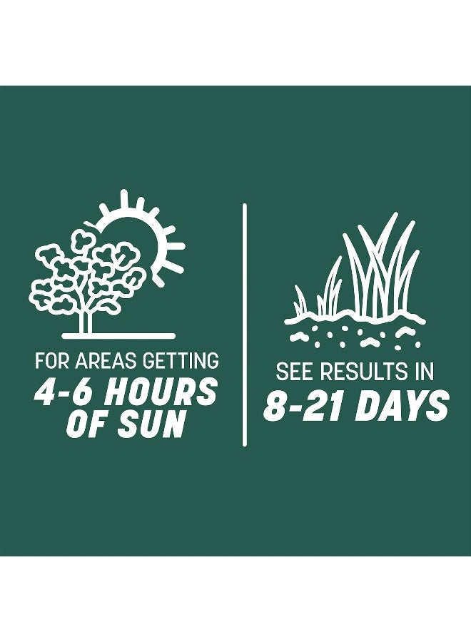 Pennington  Smart Seed Sun And Shade Grass Mix 8 Lb