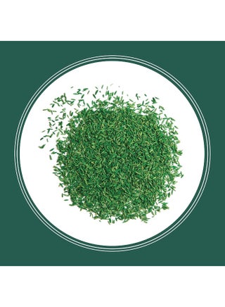 Pennington  Smart Seed Sun And Shade Grass Mix 8 Lb - pzsku/ZD36E1D4E115405D04BFDZ/45/_/1722074788/4867101b-76f5-4f66-a750-9ee328aebebf