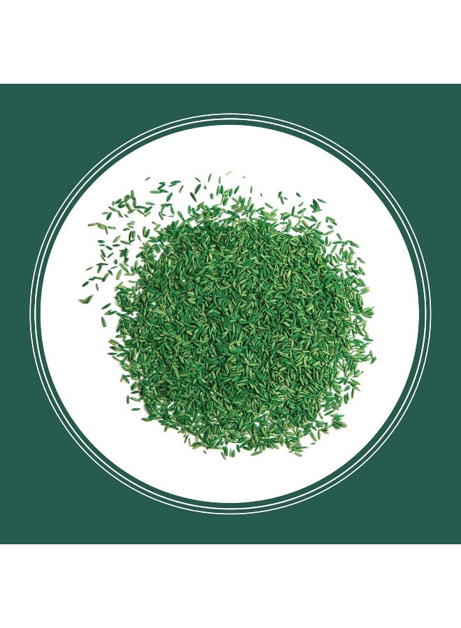 Generic Pennington  Smart Seed Sun And Shade Grass Mix 8 Lb  - Image 1