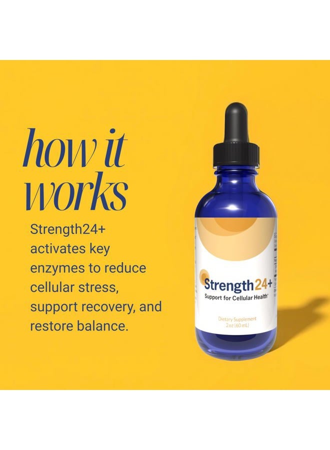 Strength 24 60ml - Image 2