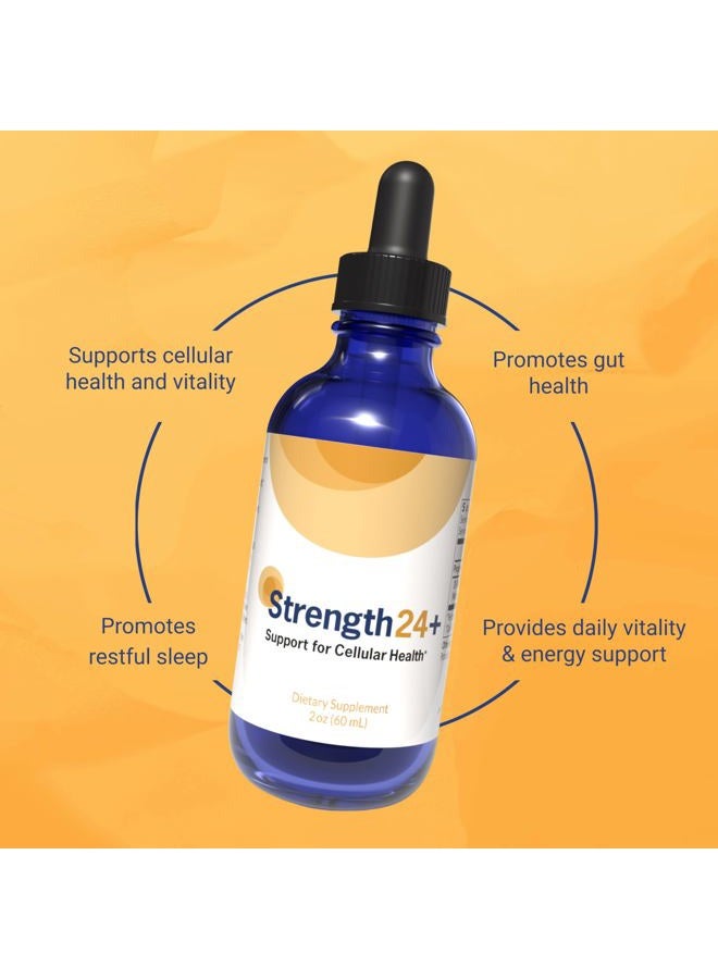 Strength 24 60ml - Image 4