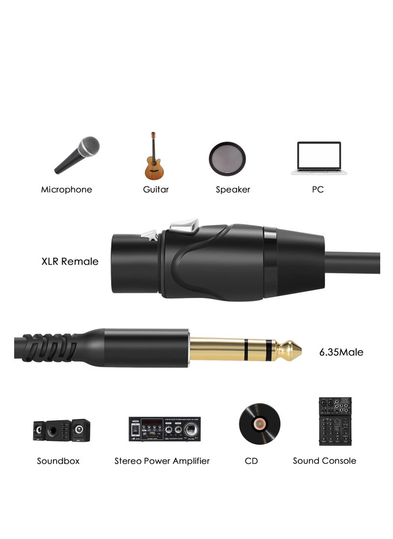 KASTWAVE كابل XLR أنثى بطول 6.6 قدم إلى كابل TRS مقاس 1/4 بوصة - كابل ميكروفون متوازن احترافي مع مقبس ربع بوصة، جودة HiFi  - Image 2