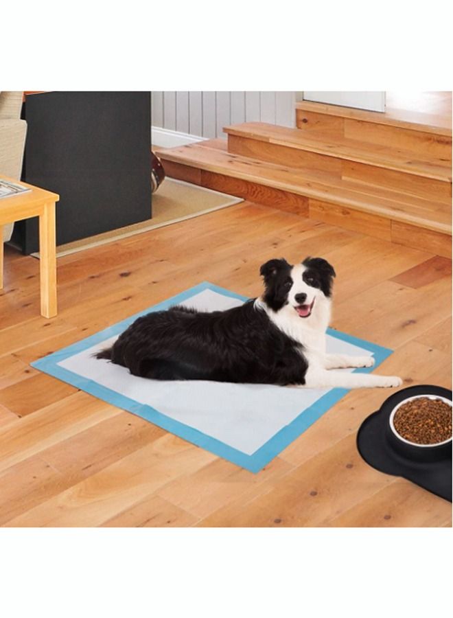 100 Count Dog Pee Pads Extra Large 33cm x 45cmPet Training Pads Disposable Pet Potty Pads Super Absorbent & Leak-Proof for House Training Cats Rabbits Dogs Leak-Proof Pet Pads - Image 5