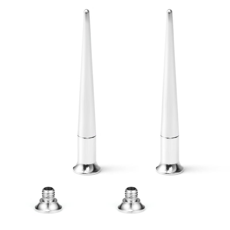 Ruifan Unisex Pair 2 in 1 Stainless Steel Screw Fit Interchangeable Taper Plug Piercing Ear Tunnel Stretcher Expander 6G(4mm) Gauge - Image 1