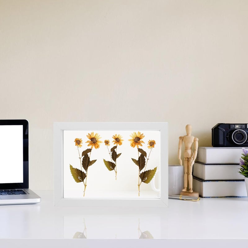 Zerodeko Creative Double-sided Glass Picture Frame 7 Inch White Wooden Display Frame for Specimen and Pressed Flowers Artwork, Decorative Tabletop Photo Stand for Home Décor - Image 5