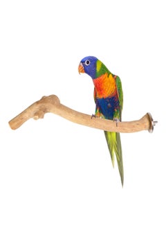 CHEWY BEAK Birds Stand Java wood small Parrot small Birds Cocktiel Love birds Sun Conures Wood Perch Natural Indonesian Wooden Tree branch Cage Accessories stick  - Image 1