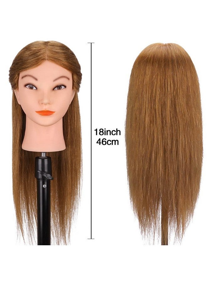 TopDirect Mannequin Head with 100% Real Hair, TopDirect 18" Brown Real Hair Cosmetology Manikin Head Hair Styling Hairdressing Practice Training Doll Heads with Clamp Holder and Tools - Image 2
