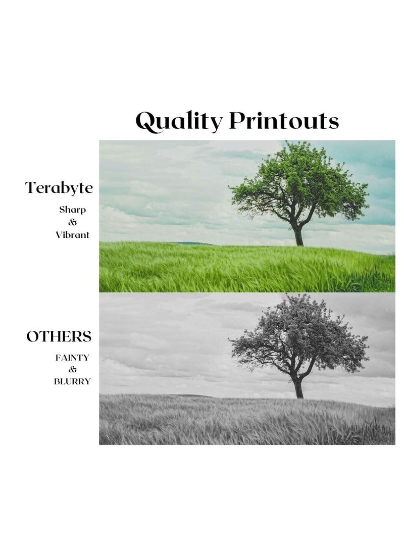 Terabyte تونر متوافق MLT101S من تيرابايت - Image 4