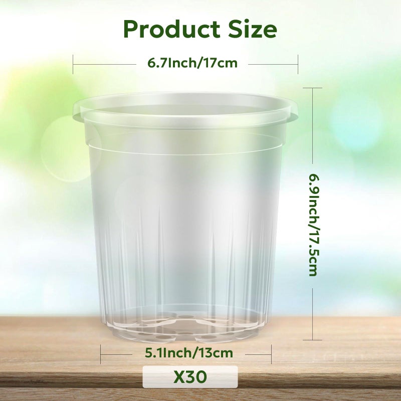 Bluepro 30 Packs 1 Gallon Reinforced Clear Nursery Pots with Drainage Holes, 7 Inch Transparent Plastic Plant Pot Seedling Planter for Vegetable Propagation, Root Cutting, Seed Starting - Image 2