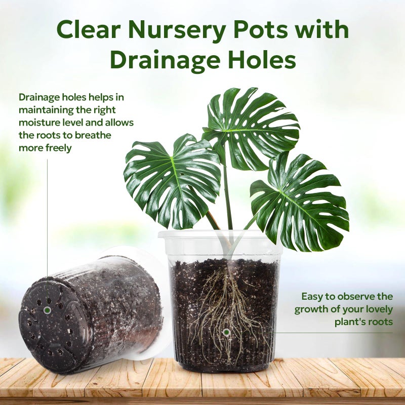 Bluepro 30 Packs 1 Gallon Reinforced Clear Nursery Pots with Drainage Holes, 7 Inch Transparent Plastic Plant Pot Seedling Planter for Vegetable Propagation, Root Cutting, Seed Starting - Image 3
