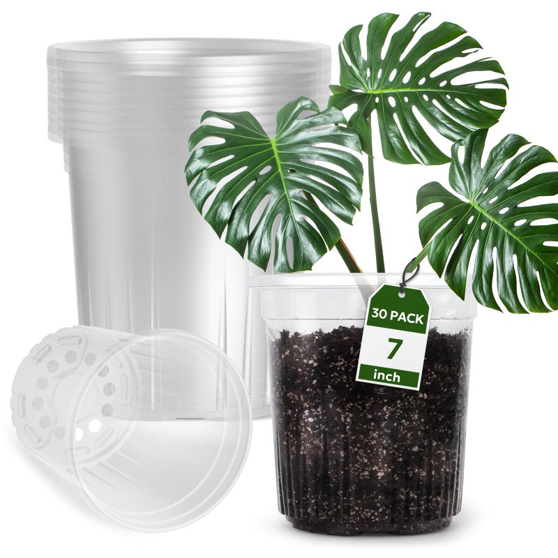 Bluepro 30 Packs 1 Gallon Reinforced Clear Nursery Pots with Drainage Holes, 7 Inch Transparent Plastic Plant Pot Seedling Planter for Vegetable Propagation, Root Cutting, Seed Starting - Image 1