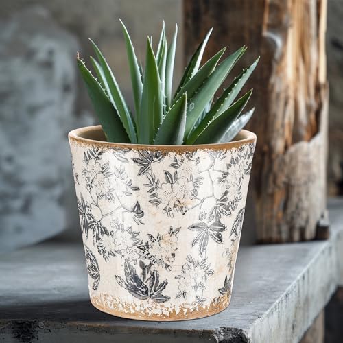 Beeveer Farmhouse Ceramic Planter 55 Inch Large Plants Pot Crack Beige Gray Flowers Plant Pots with Drainage Hole Indoor Plants Kitchen Rustic Antique Decor Gift - Image 3