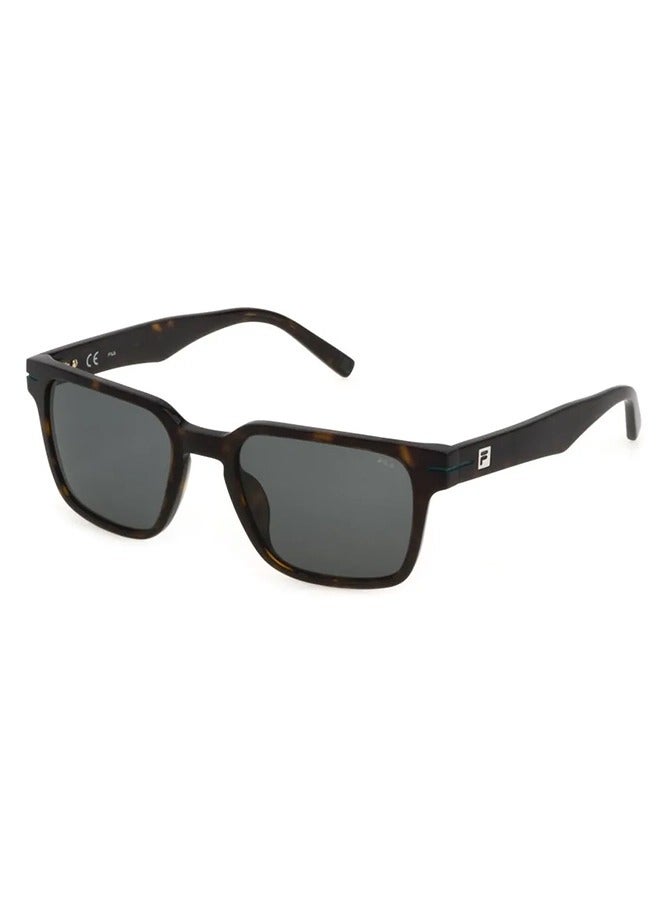 FILA Men's Square Shape  Acetate Sunglasses SFI209 53722Y - Lens Size: 53 Mm - Shiny Dark Havana - Image 1