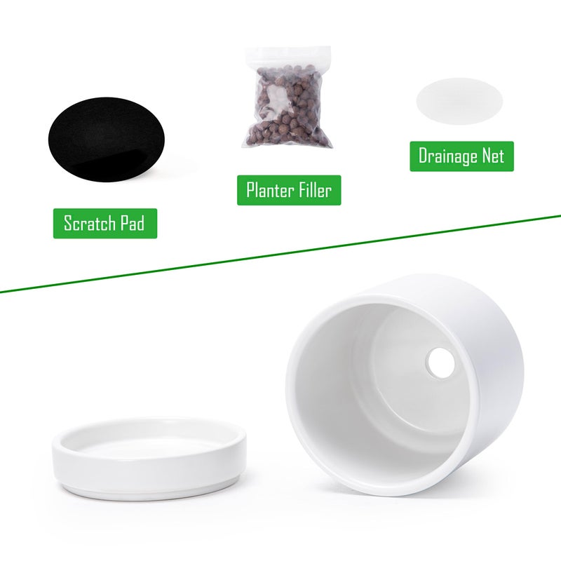 D'vine Dev Set of 2 Plants Pot, 4.7 Inch Ceramic Planter Pot for Plants with Drainage Hole and Saucer, White, 94-V-B-1 - Image 4