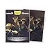 Dragon Shield Art Sleeves Limited Edition The Astronomer 100 CT Smooth Tough Premium TCG Sleeves Compatible with Pokemon One Piece Magic the Gathering - Image 3