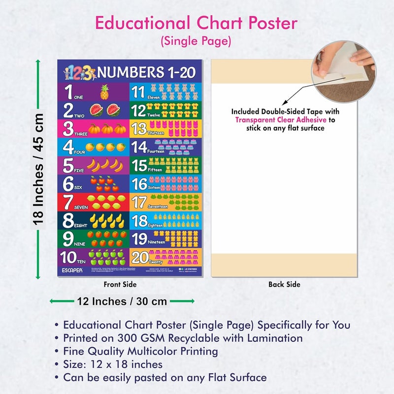 ESCAPER رسوم تعليمية للأرقام من 1 إلى 20 للأطفال، رسوم تعليمية لتعلم الأطفال (11.5 × 17.5 بوصة)، مواد دراسية للأطفال، كتب تعليمية للأطفال، ملصقات تعليمية - Image 3