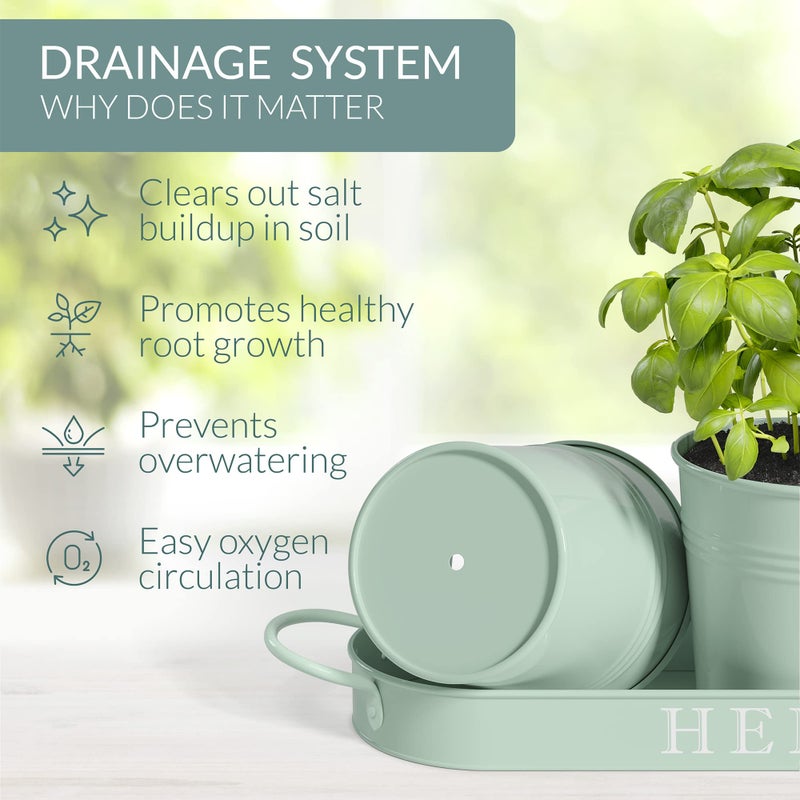 Barnyard Designs Indoor Herb Garden Planter Set with Tray, Metal Windowsill Plant Pots with Drainage for Outdoor or Indoor Plants, Set/3 (Soft Mint) - Image 5