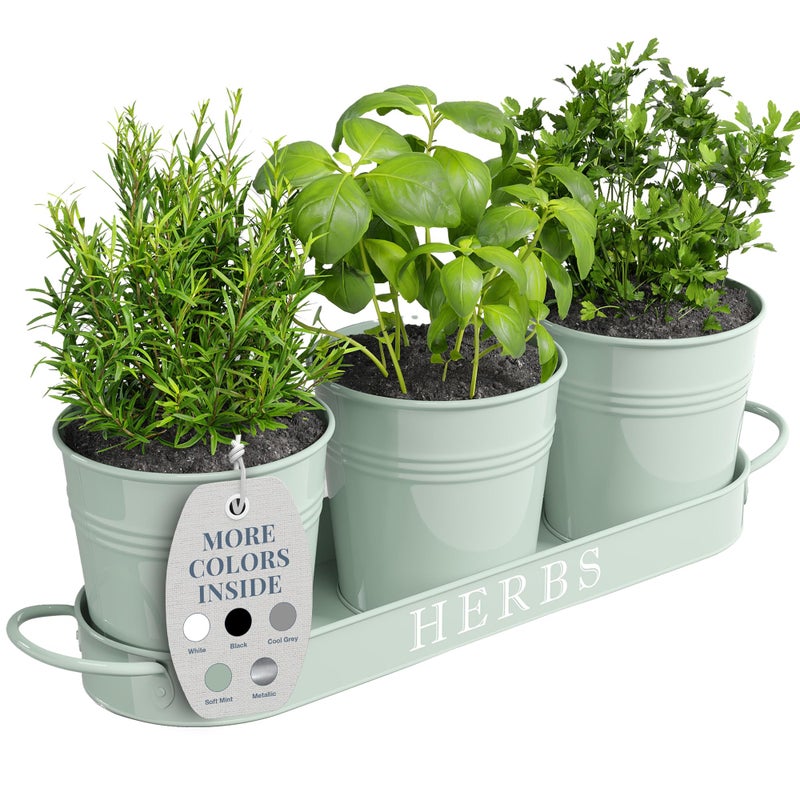 Barnyard Designs Indoor Herb Garden Planter Set with Tray, Metal Windowsill Plant Pots with Drainage for Outdoor or Indoor Plants, Set/3 (Soft Mint) - Image 1