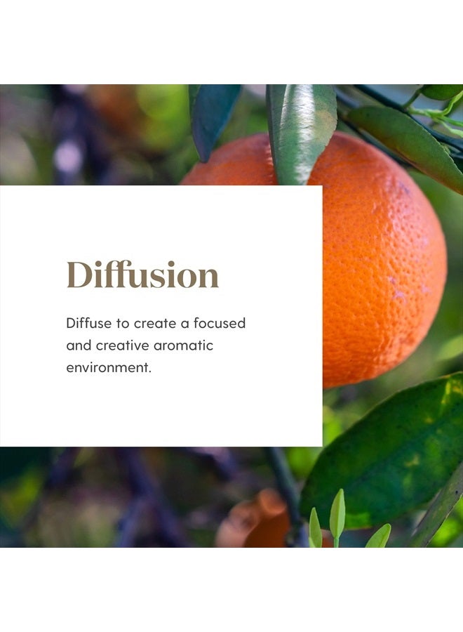 Young Living Citrus Fresh Essential Oil 15ml by Young Living Essential Oils - Image 3