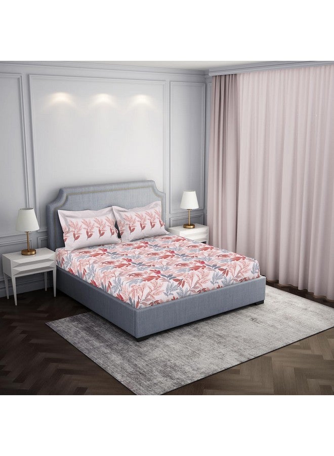 Spaces Atrium 144 TC 100% Cotton Bedsheet for Double Bed with 2 Pillow Cover | Diwali Festive Print & Super Soft (88" X 100" Inches) - Blush - Image 2
