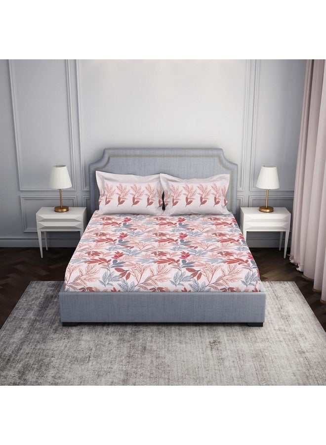 Spaces Atrium 144 TC 100% Cotton Bedsheet for Double Bed with 2 Pillow Cover | Diwali Festive Print & Super Soft (88" X 100" Inches) - Blush - Image 1